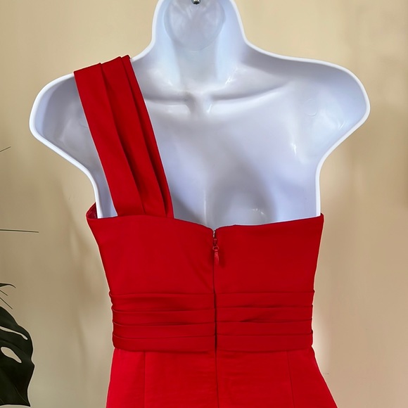 BCBG Max Azria Red Dress - Picture 8 of 12